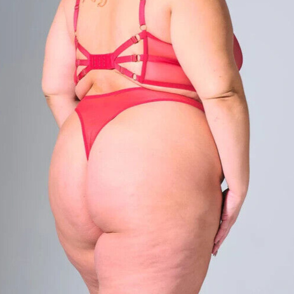 Thistle and Spire Tigris Thong Womens 3X Crimson Tigers Sheer Panties Revolve - Picture 3 of 9